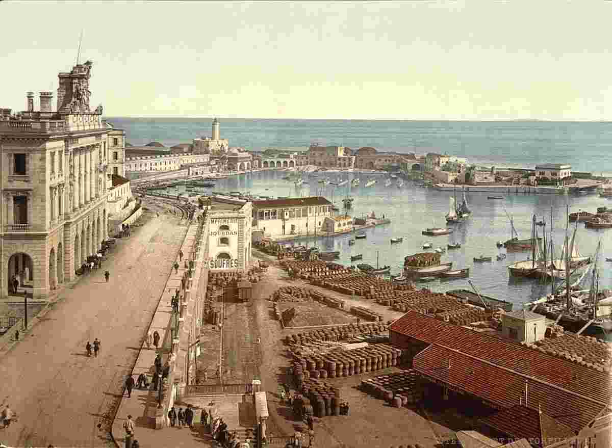 Algiers. The harbor