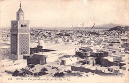 Tunis. General view taken from Dar El Bey