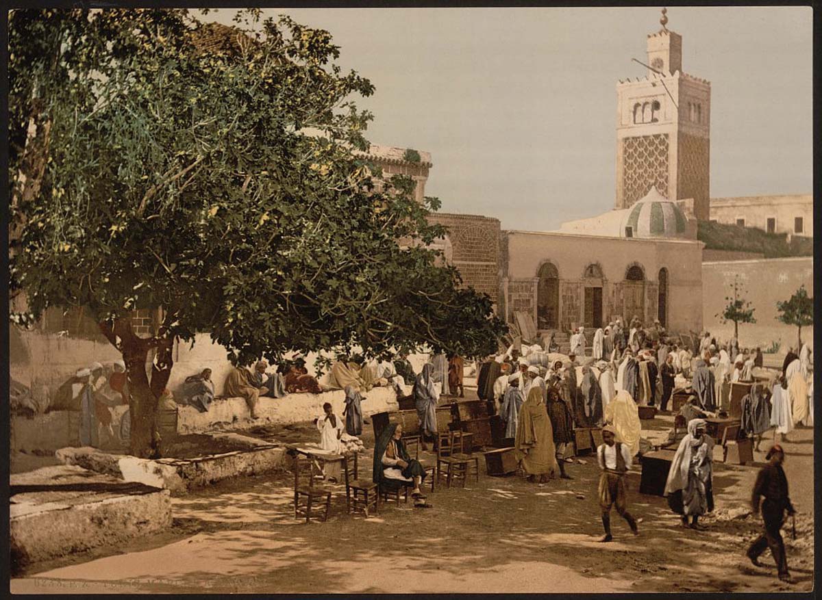Tunis. Kasbah market, circa 1890