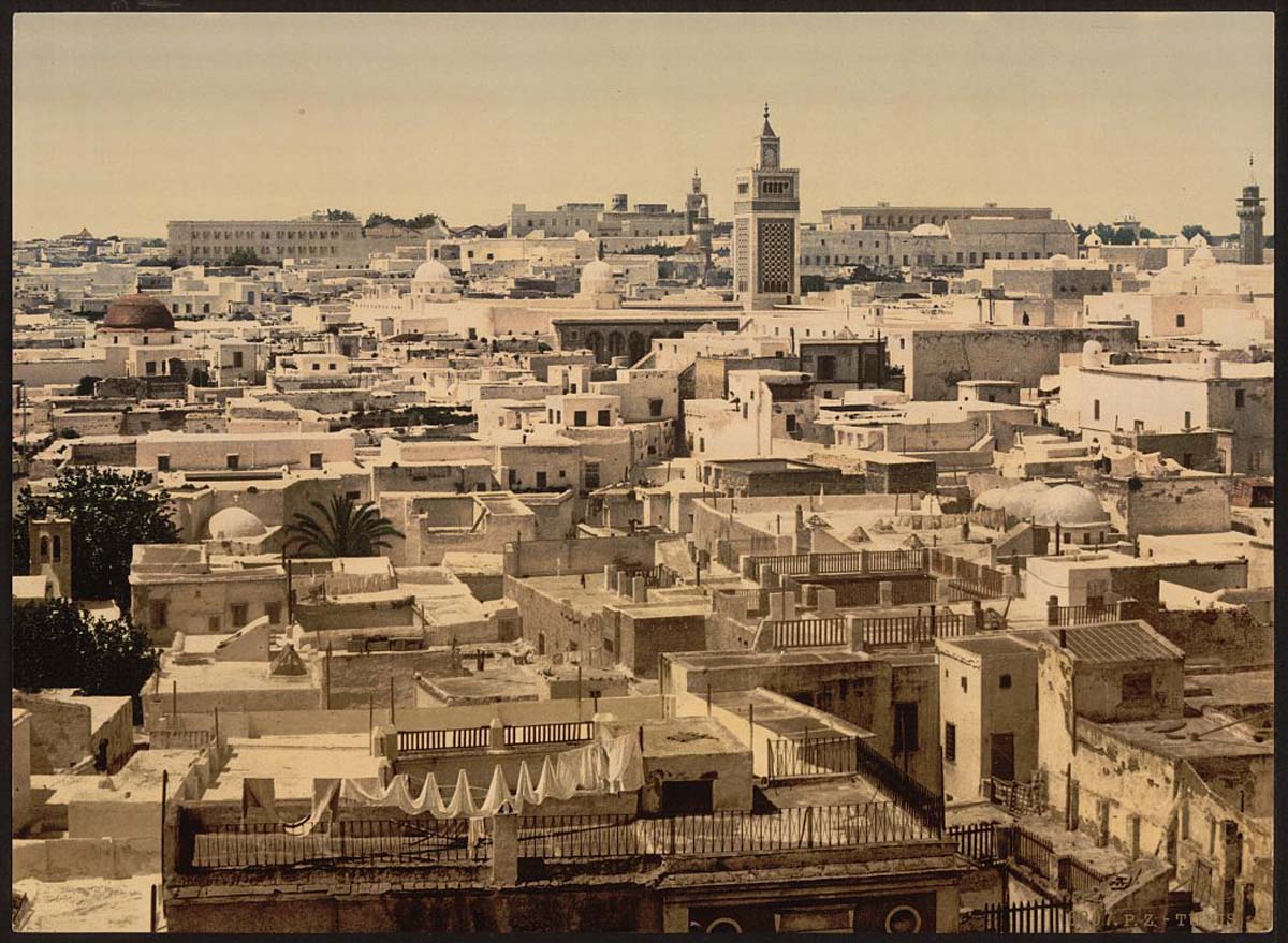 Tunis. Panorama of the city from Paris Hotel, circa 1890