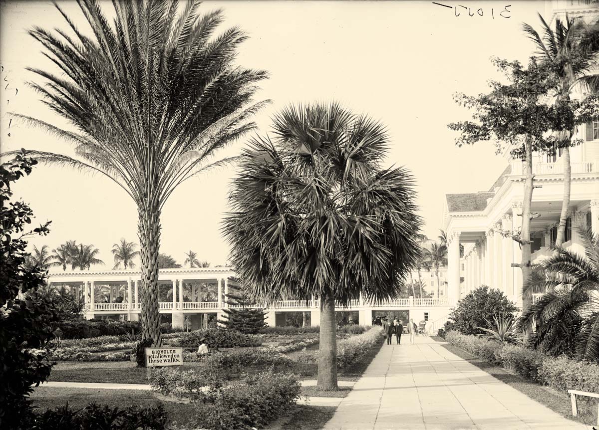 Nassau. In the gardens of Colonial Hotel, between 1900 and 1915
