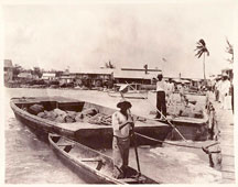 Belize City. Landing chicle in harbor, 1919