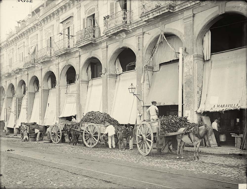 Havana. Fruit wagon unloading at market, circa 1890