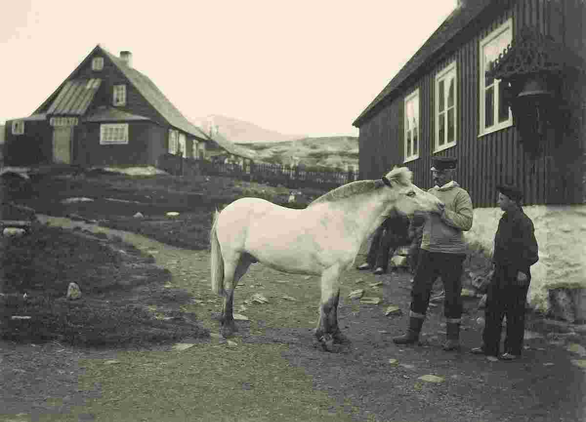 Nuuk. In 1906 the only horse in Greenland