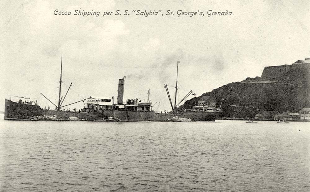 St George's. Cocoa Shipping per SS 'Salybia', 1905