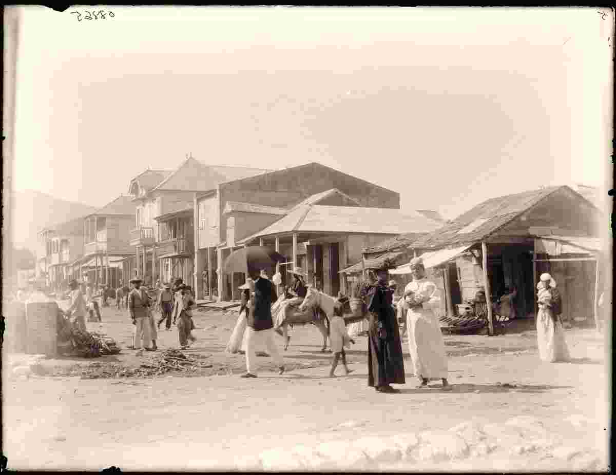Port-au-Prince. Panorama of town street, circa 1890