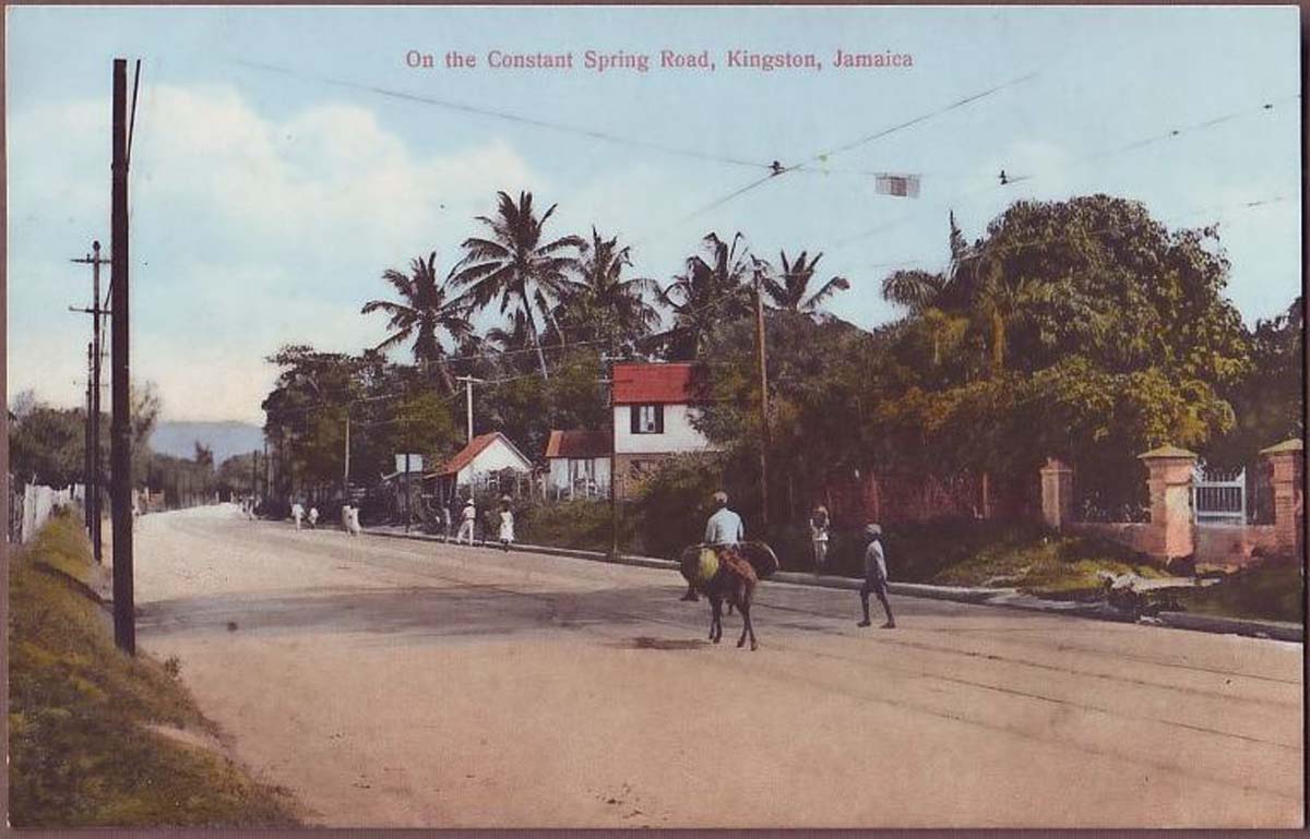 Kingston. Constant Spring Road