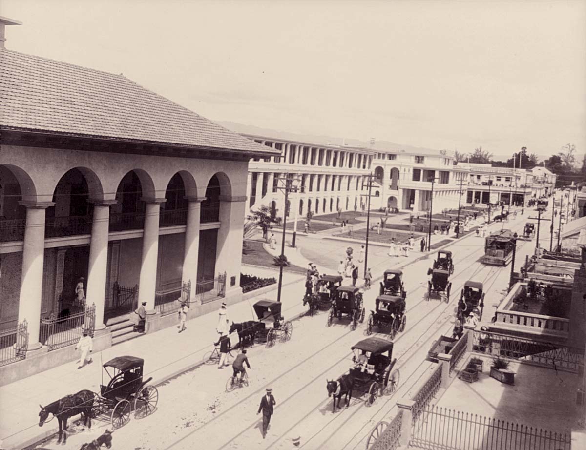 Kingston. King Street looking North, circa 1900