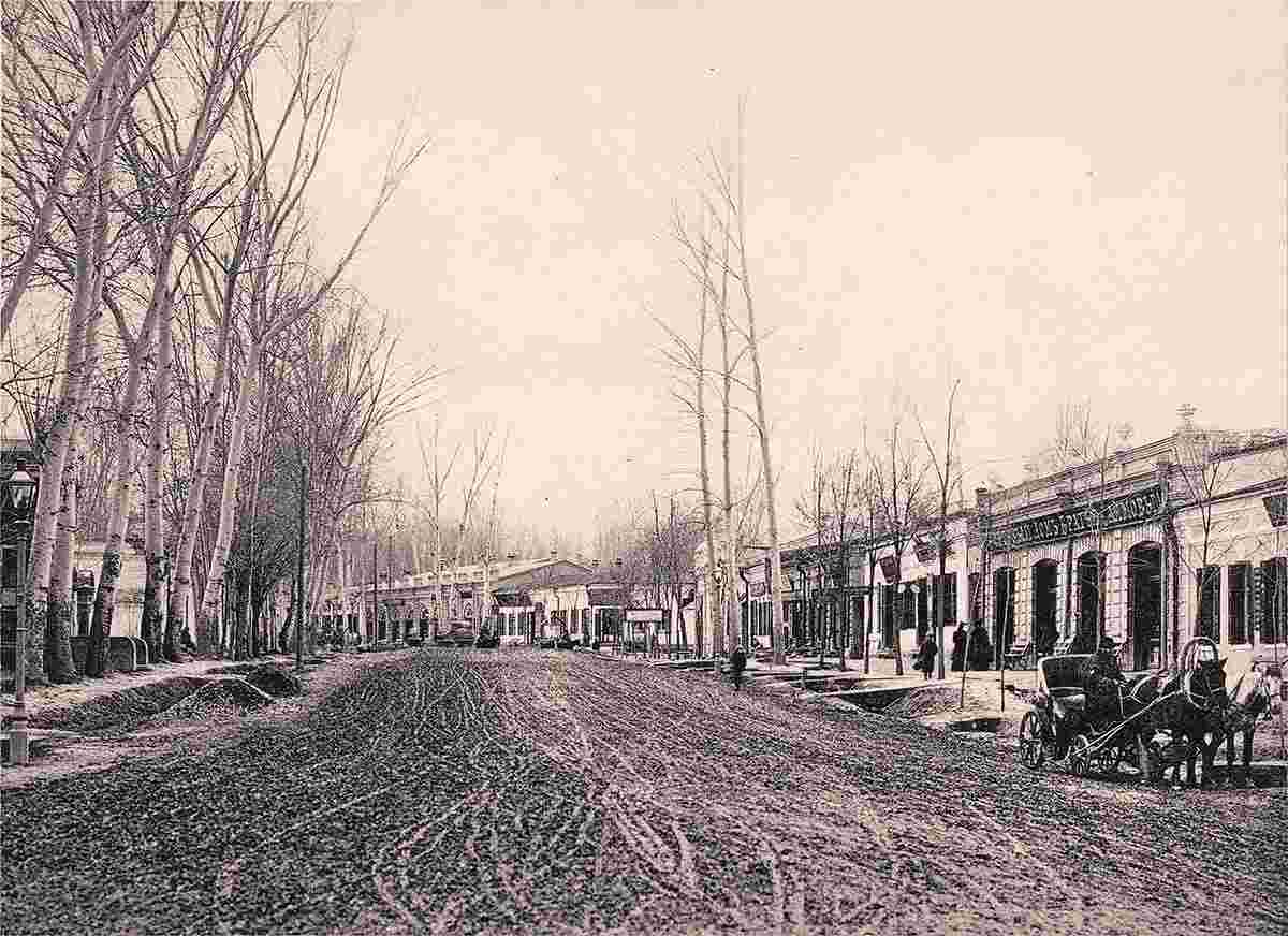 Samarkand. Kaufmansky Prospekt, between 1895–1915
