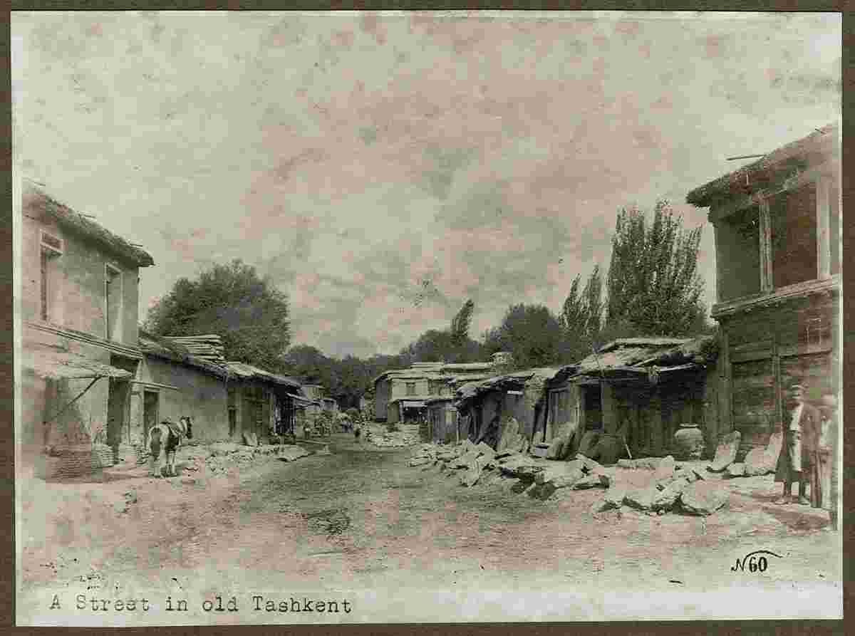 Tashkent. A street in the old town, 1890