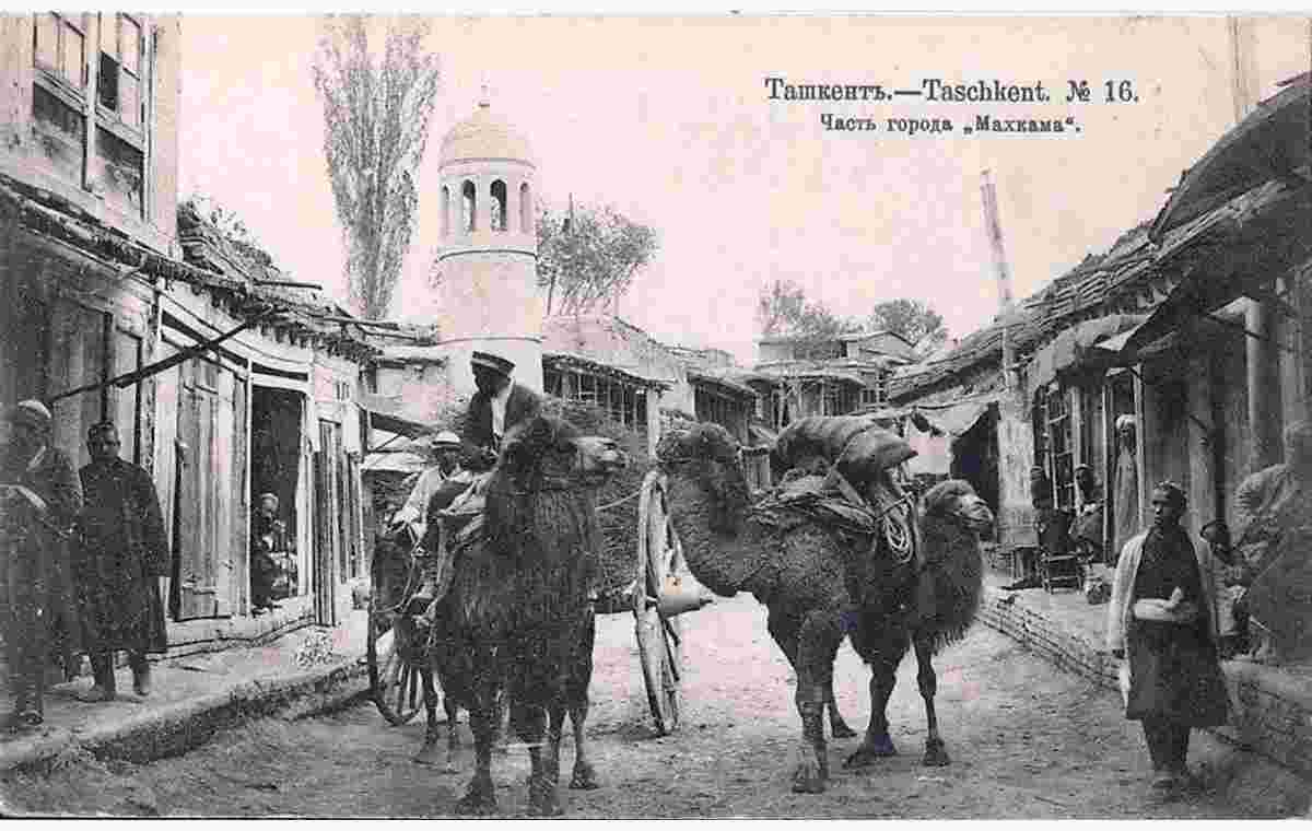 Tashkent. Neighborhood 'Court'