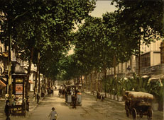 Nice. Avenue de la Gare, vers 1890