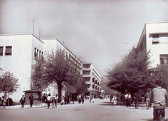 Podgorica. Panorama of the city street
