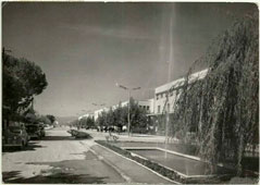 Podgorica. St Peter Cetinsky Boulevard