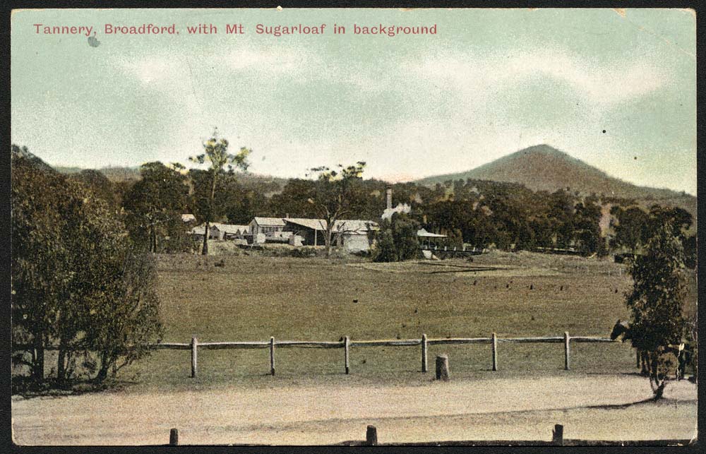 Broadford. Tannery, with Mt. Sugarloaf in background, 1906