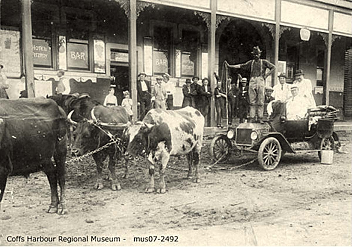 Coffs Harbour. Bob Carney with his bullock team attached to a car outside the Fitzroy Hotel