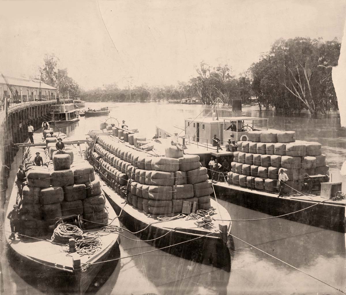 Echuca. Wool steamer 'Rodney' and barges, Echuca Wharf on the River Murray, 1893