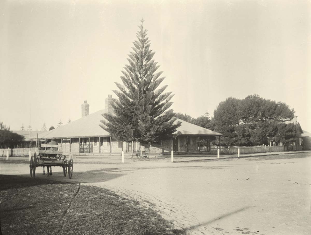 Esperance. Post Office and the Norfolk Island pine