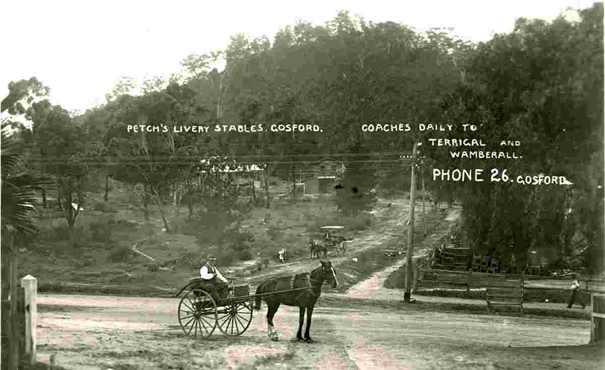 Gosford. Petch's Livery Stables