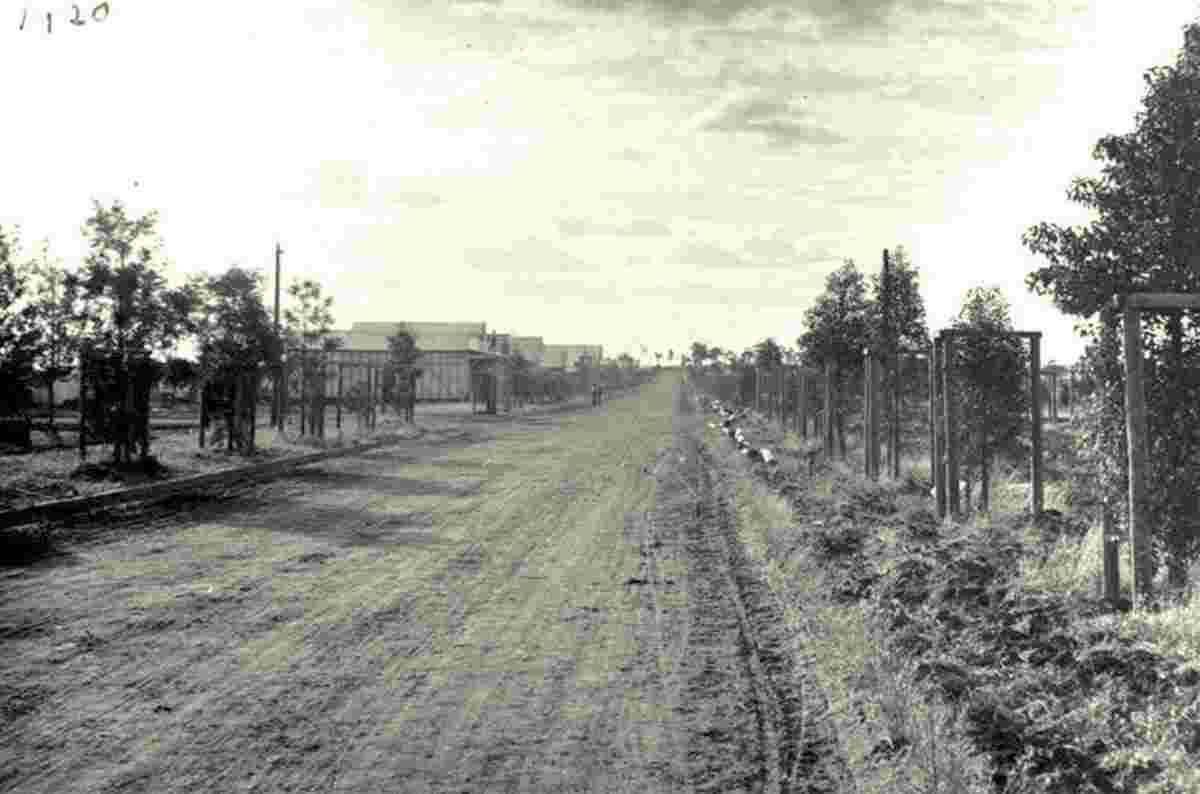Griffith. Panorama of Banna Avenue