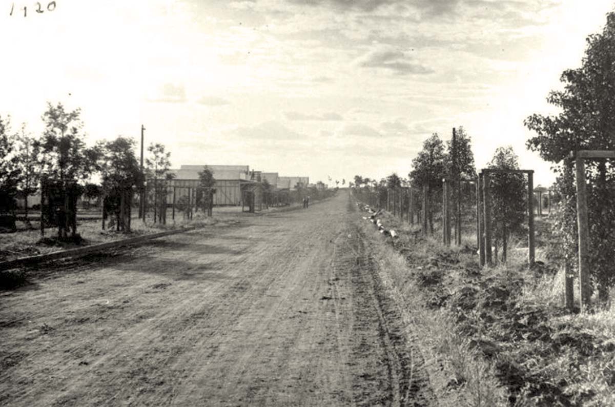 Griffith. Panorama of Banna Avenue in begin construction