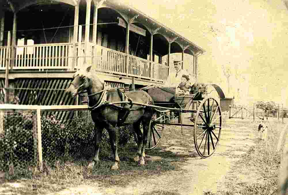Hervey Bay. Father and son in a horsedrawn buggy, 1904