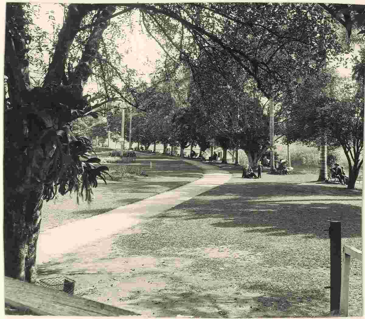 Lismore. A park