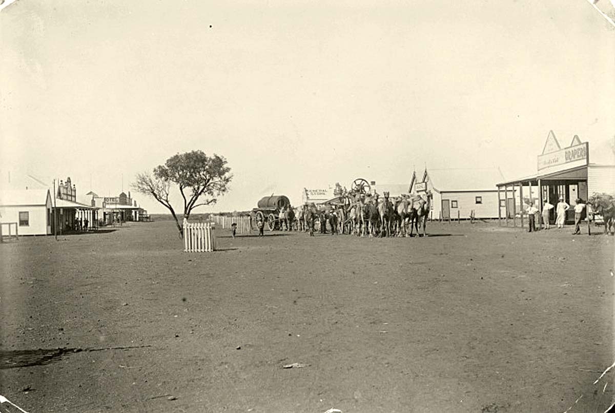 Meekatharra. Camel teams haul mine machinery through Main Street, 1910
