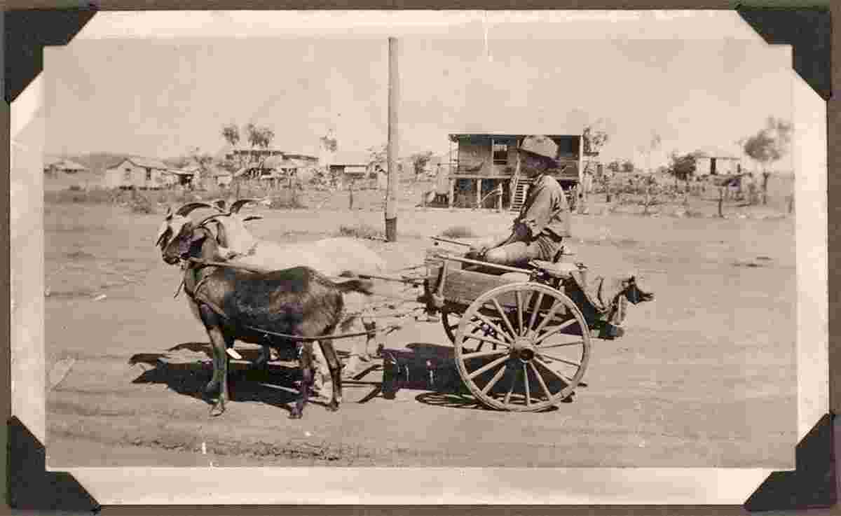 Mount Isa. Young boy with a goat cart on a Mount Isa street, 1936