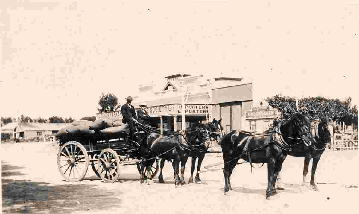 Murray Bridge. Horse-drawn wagon in Main street, 1900