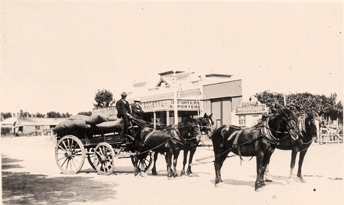 Murray Bridge. Horse-drawn wagon in Main street, 1900