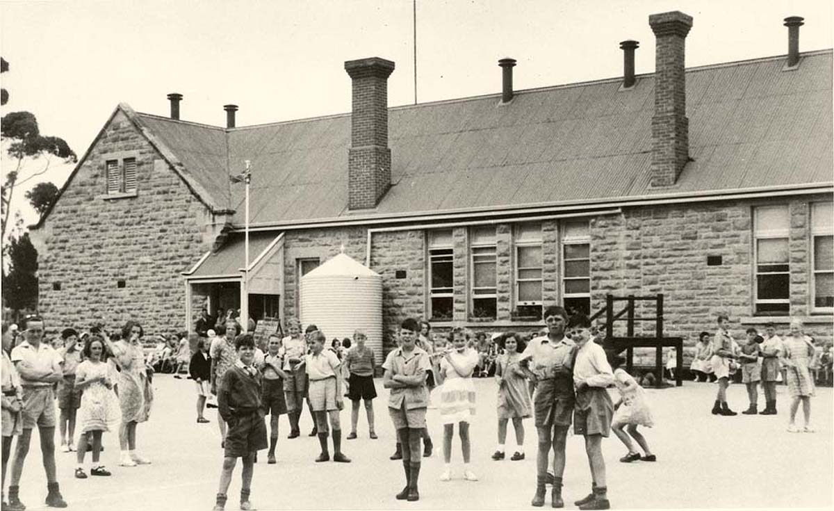 Murray Bridge. Primary School, School children in yard, 1953