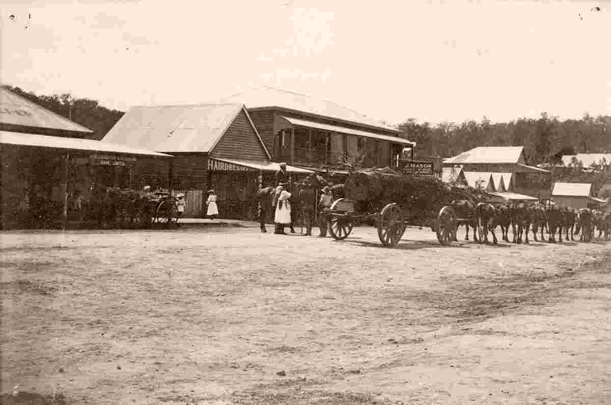 Nambour. Bullock wagon carrying a large log in front of shops on Currie Street, 1908