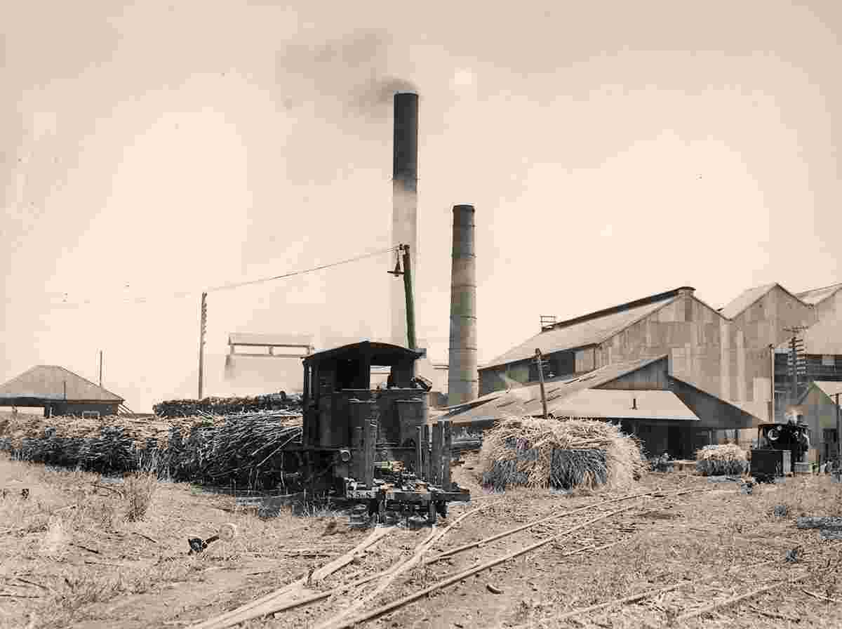 Nambour. Moreton Central Sugar Mill, train with sugar cane, 1936