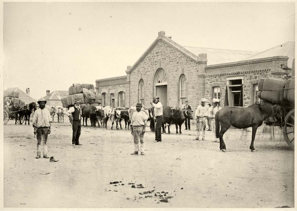 Port Augusta. Three drays loaded with wool bales, in front of the Tassie & Co. premises, 1876