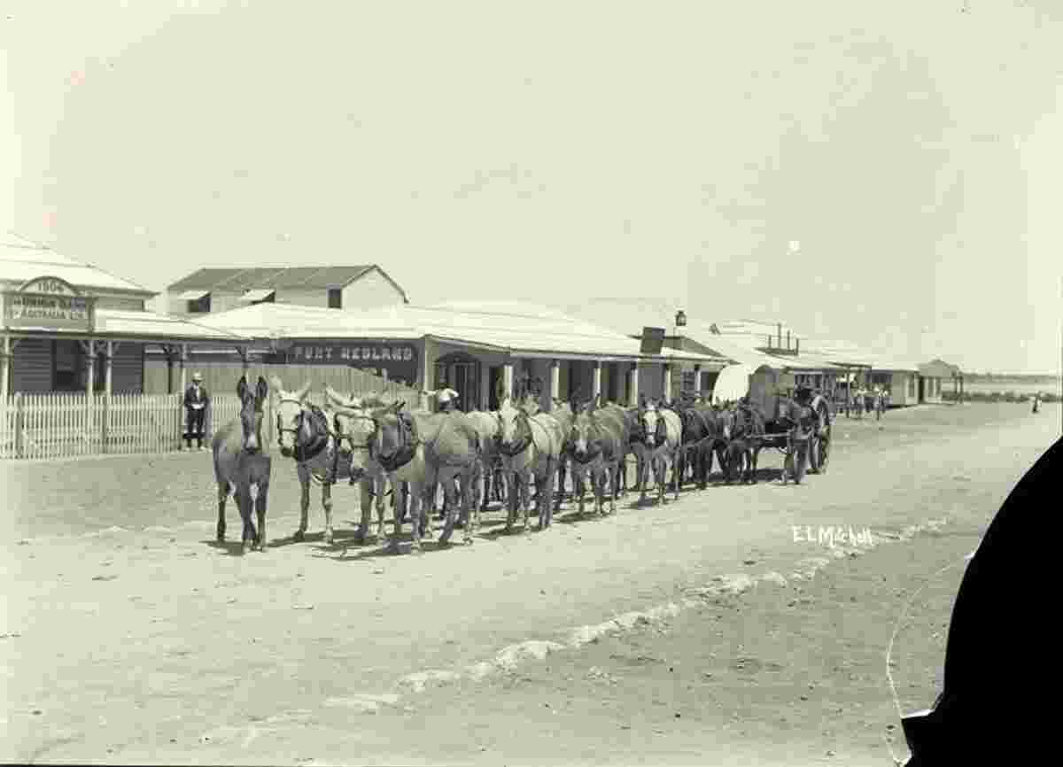 Port Hedland. Donkey team in Anderson Street