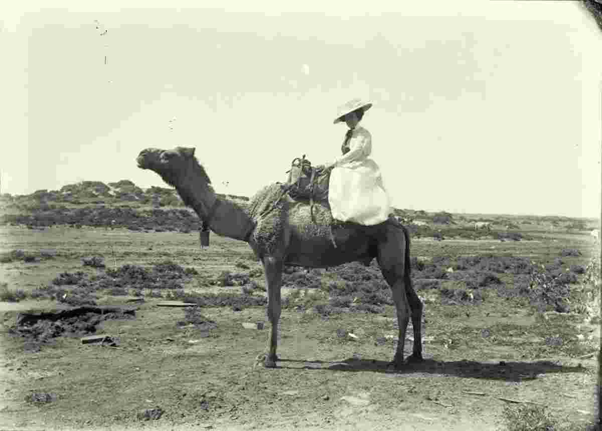 Port Hedland. Riding a camel