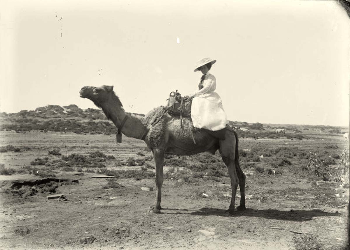 Port Hedland. Riding a camel, circa 1910