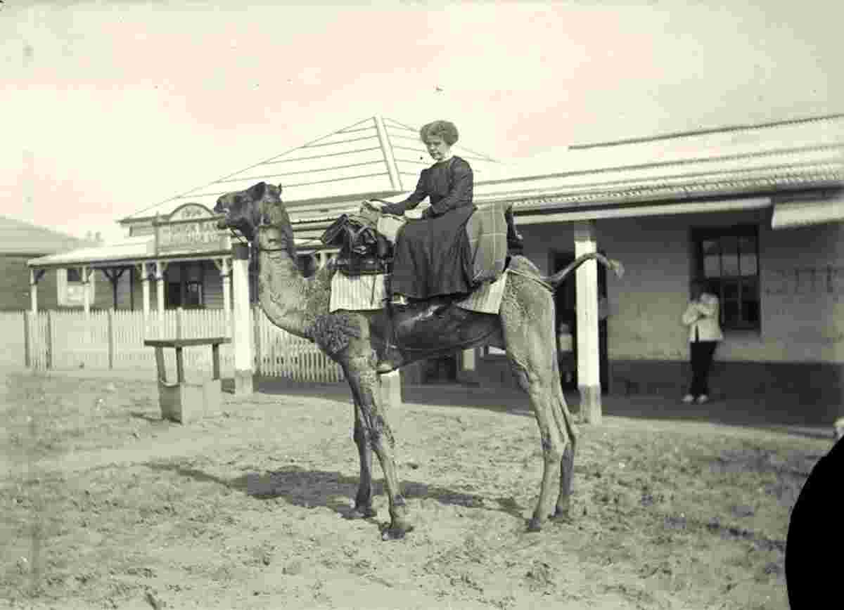 Port Hedland. Riding a camel
