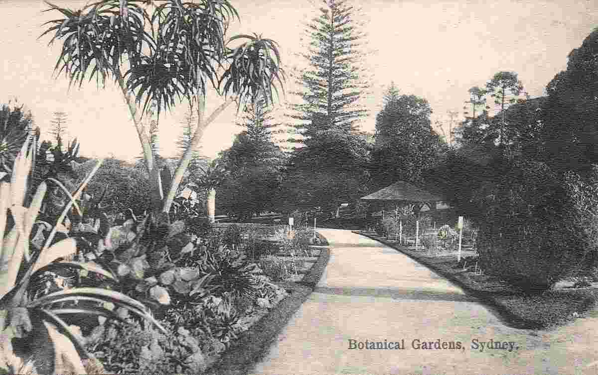 Sydney. Botanical Gardens