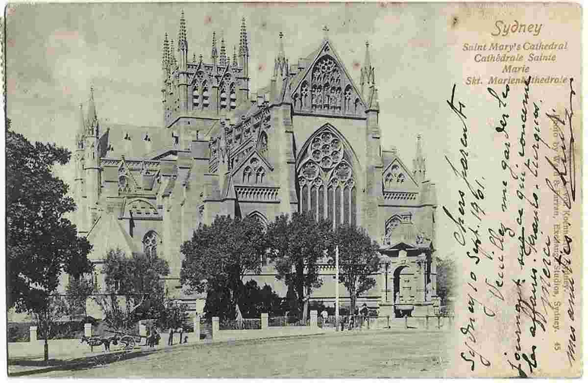 Sydney. St Mary's Cathedral, 1901