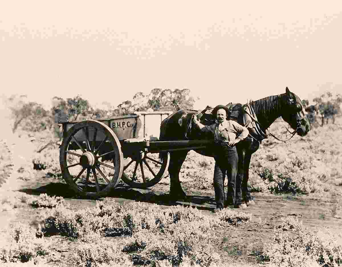 Whyalla. Broken Hill Proprietary Company - Horse and cart, 1910