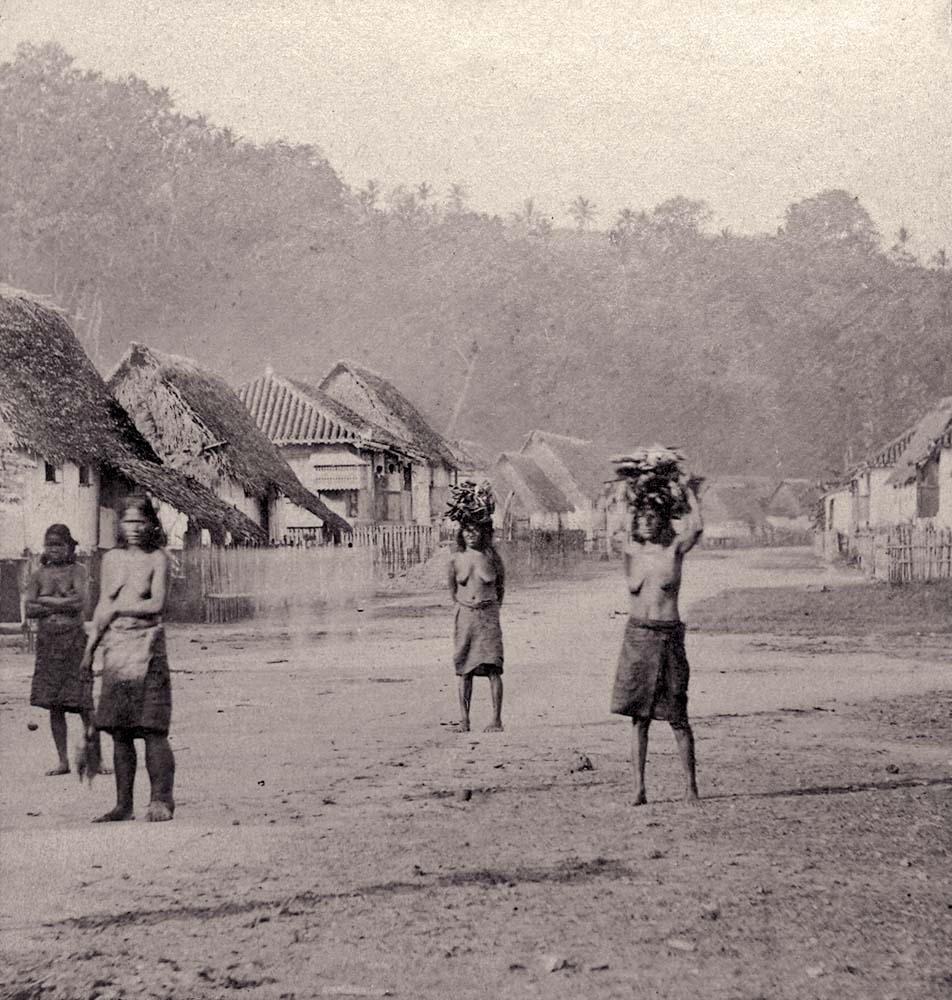 Hagåtña (Agana, Agaña). Panorama of the street, 1870s