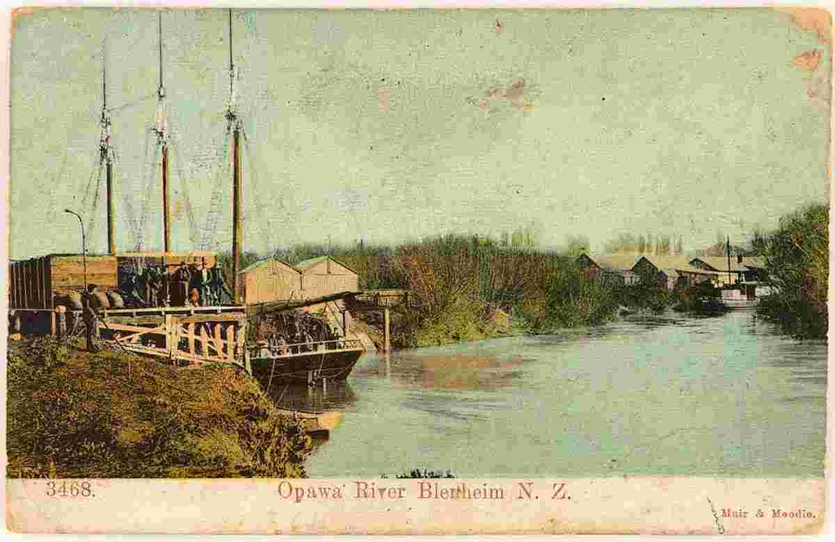 Blenheim. Opawa River, sailboat, 1904
