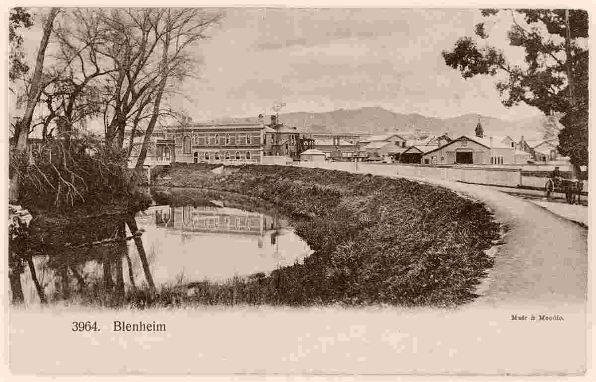 Panorama of Blenheim, 1904