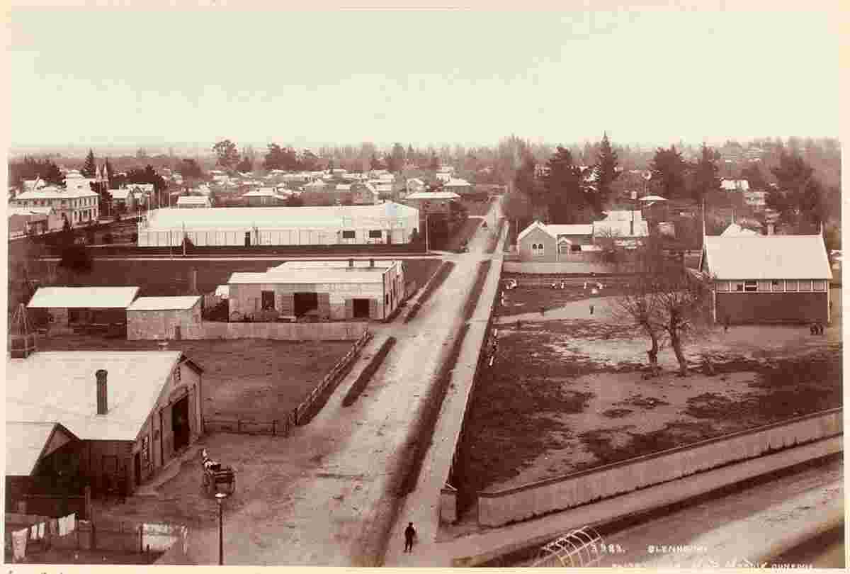 Blenheim. Panorama of city streets, 1904