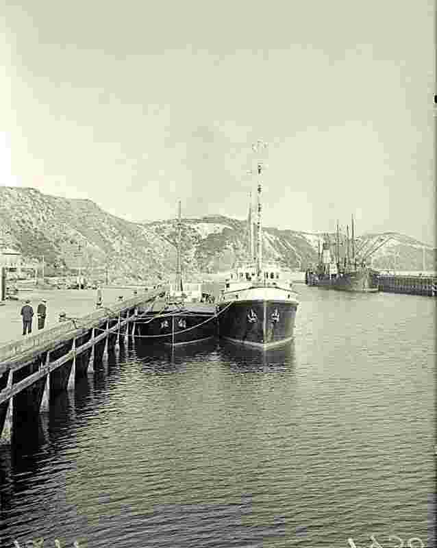 The Dutch tug Nordzee at Burnham wharf in Shelly Bay, 17 Aug 1950