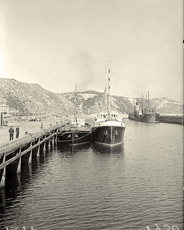 The Dutch tug Nordzee at Burnham wharf in Shelly Bay, 17 Aug 1950