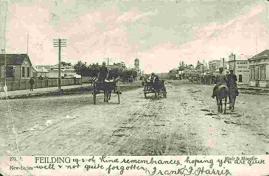 Feilding. Panorama of the city, 1906