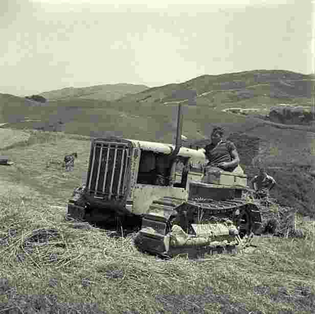 Porirua. Tractor raking in hay, Horne farm, 1945